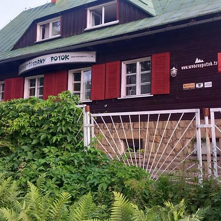 Bed and Breakfast Schronisko Srebrny Potok Lubawka Esterno foto